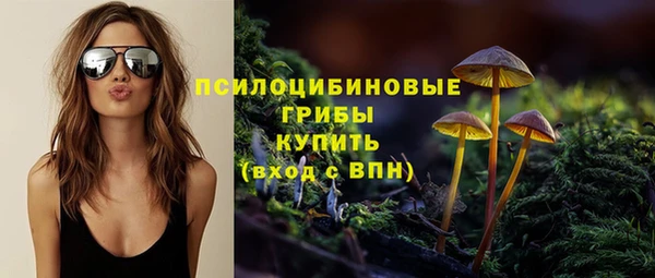 соль ск Абдулино