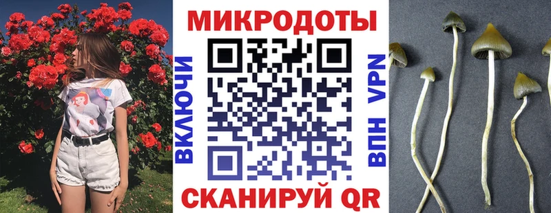Галлюциногенные грибы MAGIC MUSHROOMS  Александровск 
